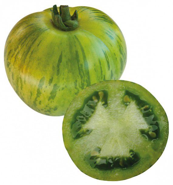 Résultat d’images pour tomate green zebra