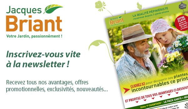 Pop-up d'invitation à s'incrire à la newsletter Jacques Briant