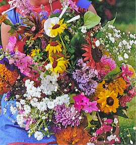 FLEURS A COUPER POUR BOUQUETS