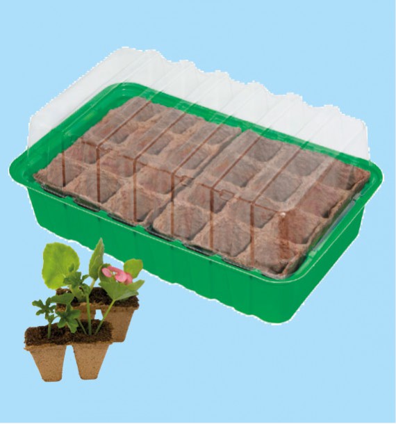 MINI SERRE