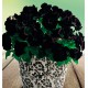 PÉTUNIA MYSTICAL BLACK VELVET®
