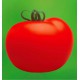 TOMATE MONTFAVET 63/5 F1 A PLANTER