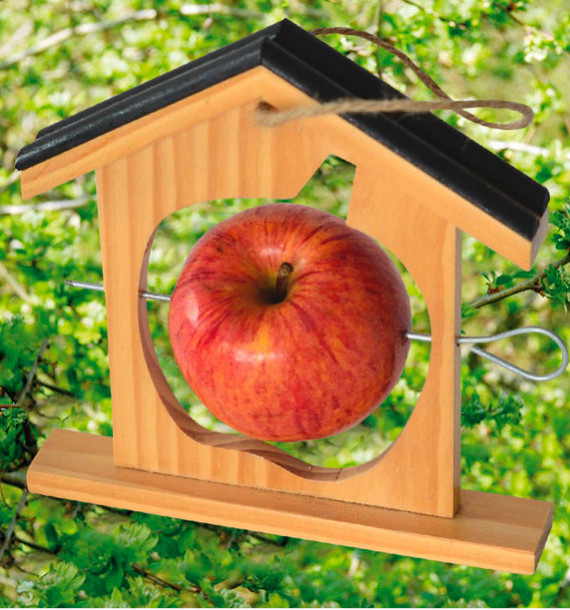 MAISON POMME POUR OISEAUX