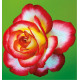 ROSIER BUISSON LÉO FERRÉ® Adabiterse