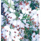 BRUYERE D'HIVER WHITE PERFECTION