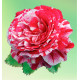 ROSIER ANCIEN FERDINAND PICHARD