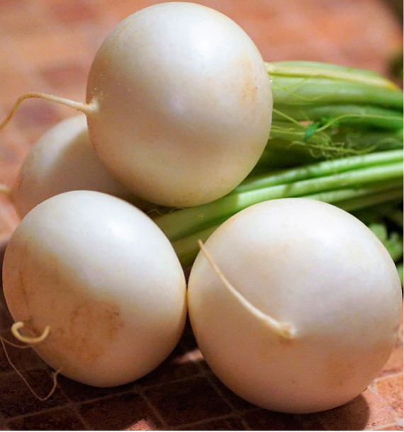 NAVET BLANC PLAT DE HOLLANDE