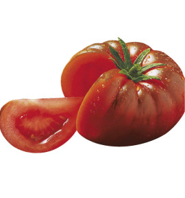 TOMATE HYB F1 DELIZIA