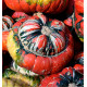 POTIRON GIRAUMON TURBAN TURC