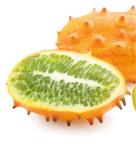CONCOMBRE CORNU D'AFRIQUE (KIWANO)