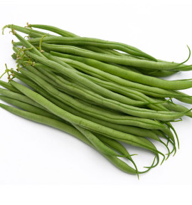 HARICOT NAIN SOLIMAN