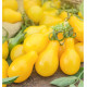 TOMATE CERISE POIRE JAUNE A PLANTER