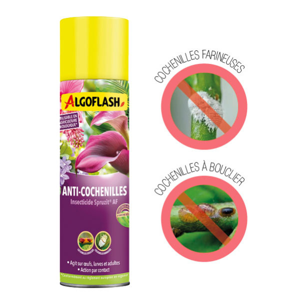 ANTI-COCHENILLES