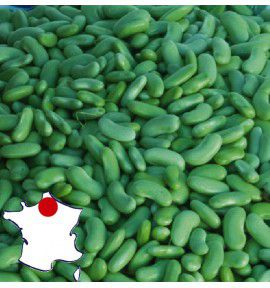 HARICOT NAIN A ECOSSER VERDELYS