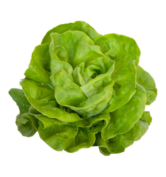 LAITUE GUSTAV'S SALAD