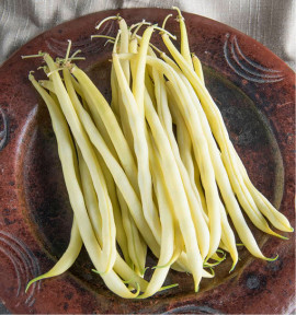 HARICOT NAIN MANGETOUT STENTOR