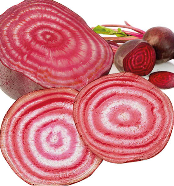 BETTERAVE DE CHIOGGIA