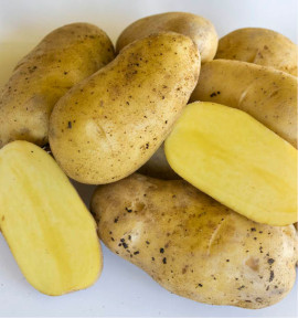 POMME DE TERRE GOURMANDINE