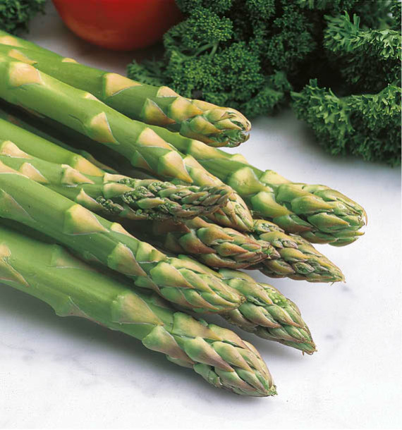 ASPERGE VERTE VOLTAIRE F1