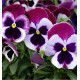 PENSEE MATRIX® CASSIS