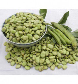 FEVE D'AGUADULCE À TRÈS LONGUE COSSE