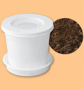 POT DE CULTURE SPECIAL AMARYLLIS + TERREAU