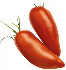 TOMATE CORNUE DES ANDES