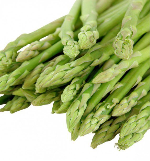 ASPERGE VERTE RAMBO