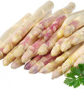 ASPERGE SUPER ARGENTEUIL® Angela