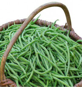 HARICOT NAIN MANGETOUT ARGUS