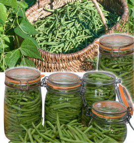 HARICOT NAIN A FILET MOLIERE