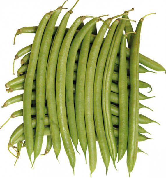 HARICOT NAIN MANGETOUT PROCESSOR
