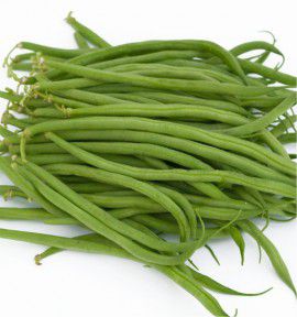 HARICOT NAIN MANGETOUT LA VICTOIRE
