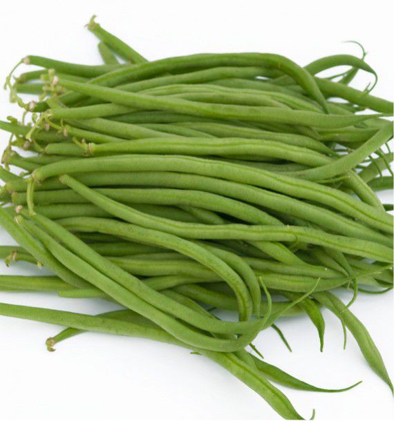 HARICOT NAIN MANGETOUT LA VICTOIRE