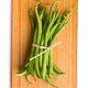 HARICOT NAIN MANGETOUT PRINCESSE DOUBLE DE HOLLANDE
