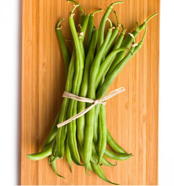 HARICOT NAIN MANGETOUT PRINCESSE DOUBLE DE HOLLANDE