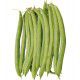 HARICOT NAIN MANGETOUT IRAGO