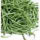HARICOT NAIN A FILET FIN DE BAGNOLS