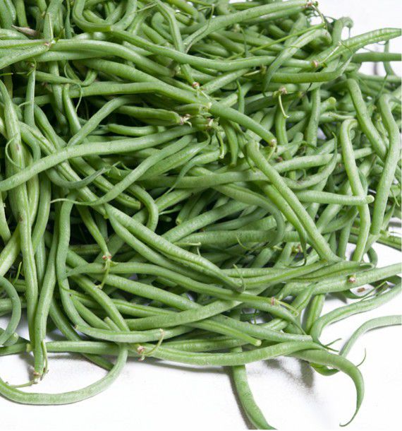 HARICOT NAIN A FILET FIN DE BAGNOLS