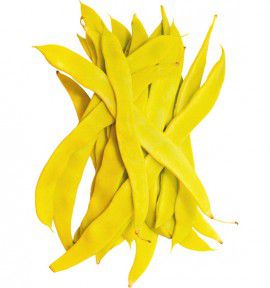 HARICOT NAIN SABRE BEURRE SERPEDOR