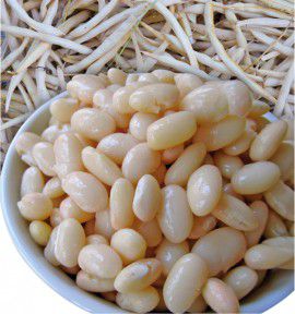 HARICOT NAIN A ECOSSER MOGEX