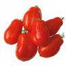 TOMATE ROMA VF