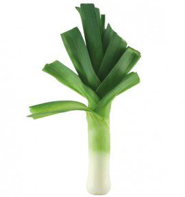 POIREAU GROS LONG D'ETE 2