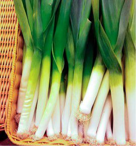 POIREAU LONG DE MEZIERES