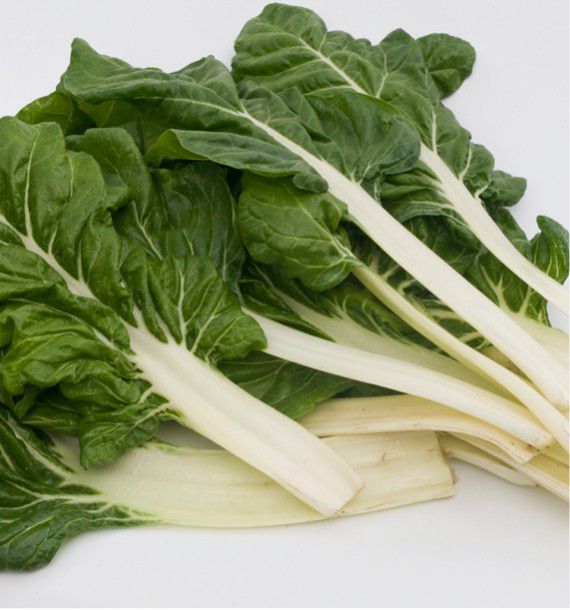 POIREE VERTE A CARDE BLANCHE 2