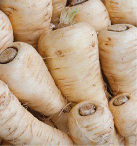 PANAIS DEMI LONG DE GUERNESEY