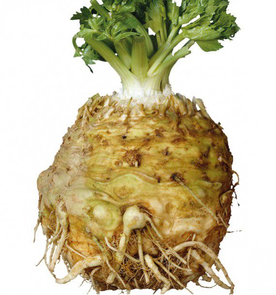 CELERI RAVE GEANT DE PRAGUE