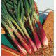 CIBOULE COMMUNE ROUGE