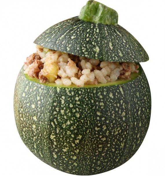 COURGE DE NICE A FRUIT ROND