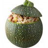 COURGE DE NICE A FRUIT ROND